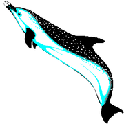 Clipart-dolphin06