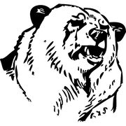 Pg 11135-bear-head.jpg