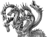 Hydra