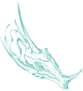 A sketch of a Moonstone dragon's head.