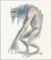 Scrag.jpg