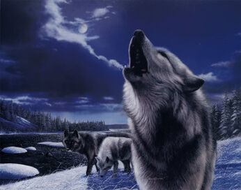 KD0704Howling-Wolves-Posters