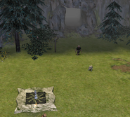 Displacer pad and Crypt entrance