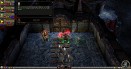 Quest Start