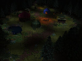 TravelerCamp320