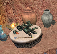 An unobtainable set of Serpentine Armor in Nonataya's abode. Perhaps it's crafted from a Green Drake.