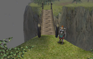 The guard, standing watch over one of the rope bridges