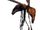 Giant Wasp