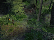Hak'u Ceremonial Camp