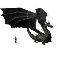 DragonDS1 a