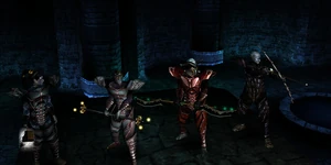 Ds1armor a9group