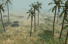 IslandBeach1