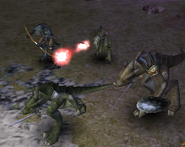 All four main Zaurask classes as seen in Xulphae's Cove. From left to right and top to bottom: Lightning, Seer, Whacker, Leader