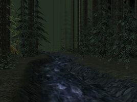 GreatNorthernForest1