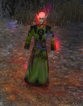 Celeb'hel Rogue Mage
