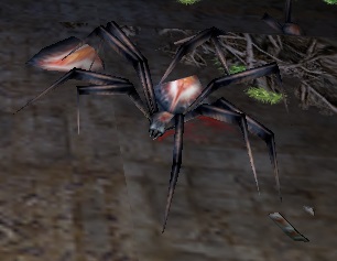 Arakun spider