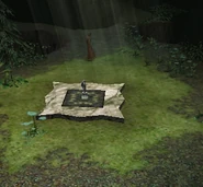 CloudForestDisplacer.png (227 KB) The displacer pad in the Cloud Forest, with ranger in the background.