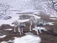 Size comparison between the Varg (left) and White Wolf