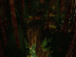 RedwoodGap1