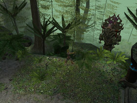 Northern Greilyn Jungle