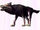Dark Wolf