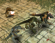 Examples of each of the four jungle-type Zaurask classes. From top to bottom: Adept, Slavemaster, Fang, and Spine.