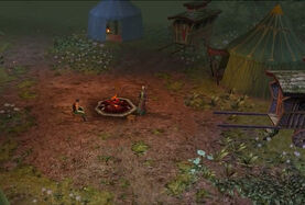 Traveler Camp