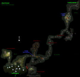 DarkForestMap