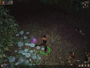 DS Pixie