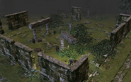 The ruins