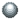 Circinated Silver Shield
