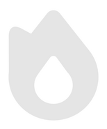 Racha | Wiki Duolingo | Fandom