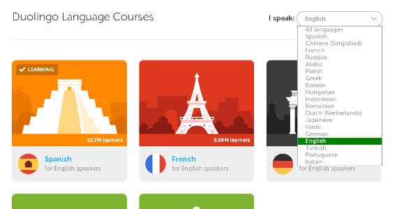 Quais são as divisões do Duolingo?