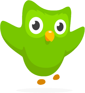 Green Duolingo Plushie Duo 10 Year Anniversary Owl Gift For Kids