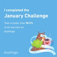 Duolingo Challenge January 2023 (2)