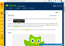 Duolingo-famdom-screenshot