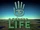 Second Life