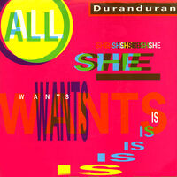 All she wants is duran duran wikipedia song single