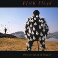 Delicate Sound of Thunder Pink Floyd
