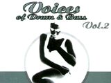 Voices of Drum & Bass: Vol. 2