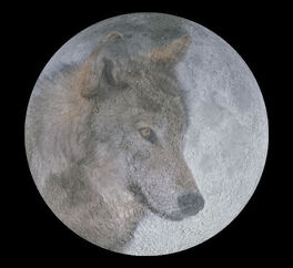 Wolf moon big.jpg