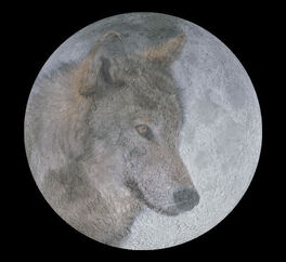 Wolf moon big