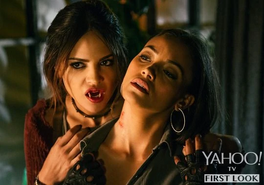 FDTDS34.png (427 KB)