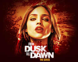 Amazon.co.jp: FROM DUSK TILL DAWN : DVD