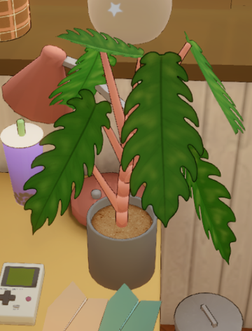 Philodendron Pluto | Dustbunny Wiki | Fandom