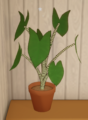 Alocasia Zebrina | Dustbunny Wiki | Fandom