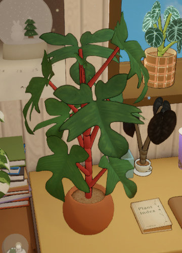 Philodendron Florida Green | Dustbunny Wiki | Fandom