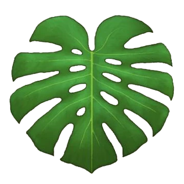 Monstera Deliciosa | Dustbunny Wiki | Fandom