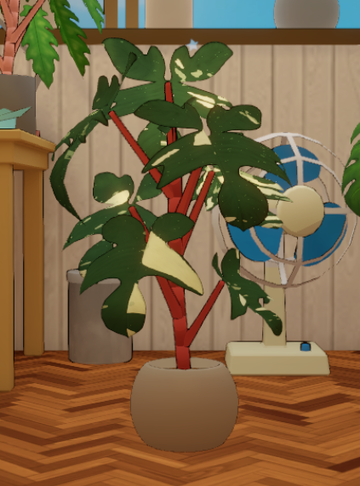 Philodendron Florida Beauty | Dustbunny Wiki | Fandom