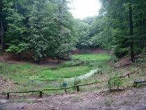 The Solse Gat in the Speulder- en Sprielderbos